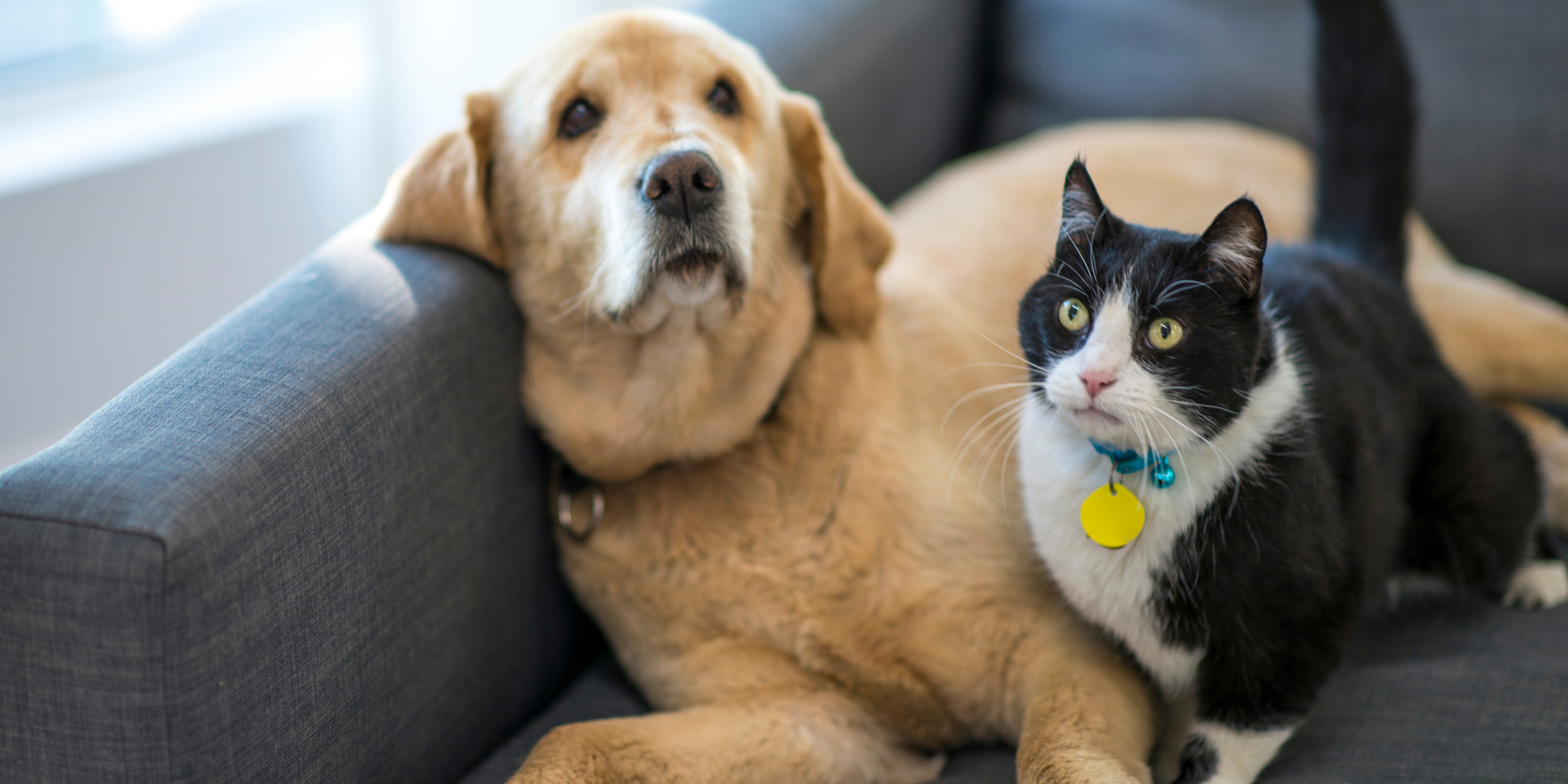 Various payment and financing options for security systems